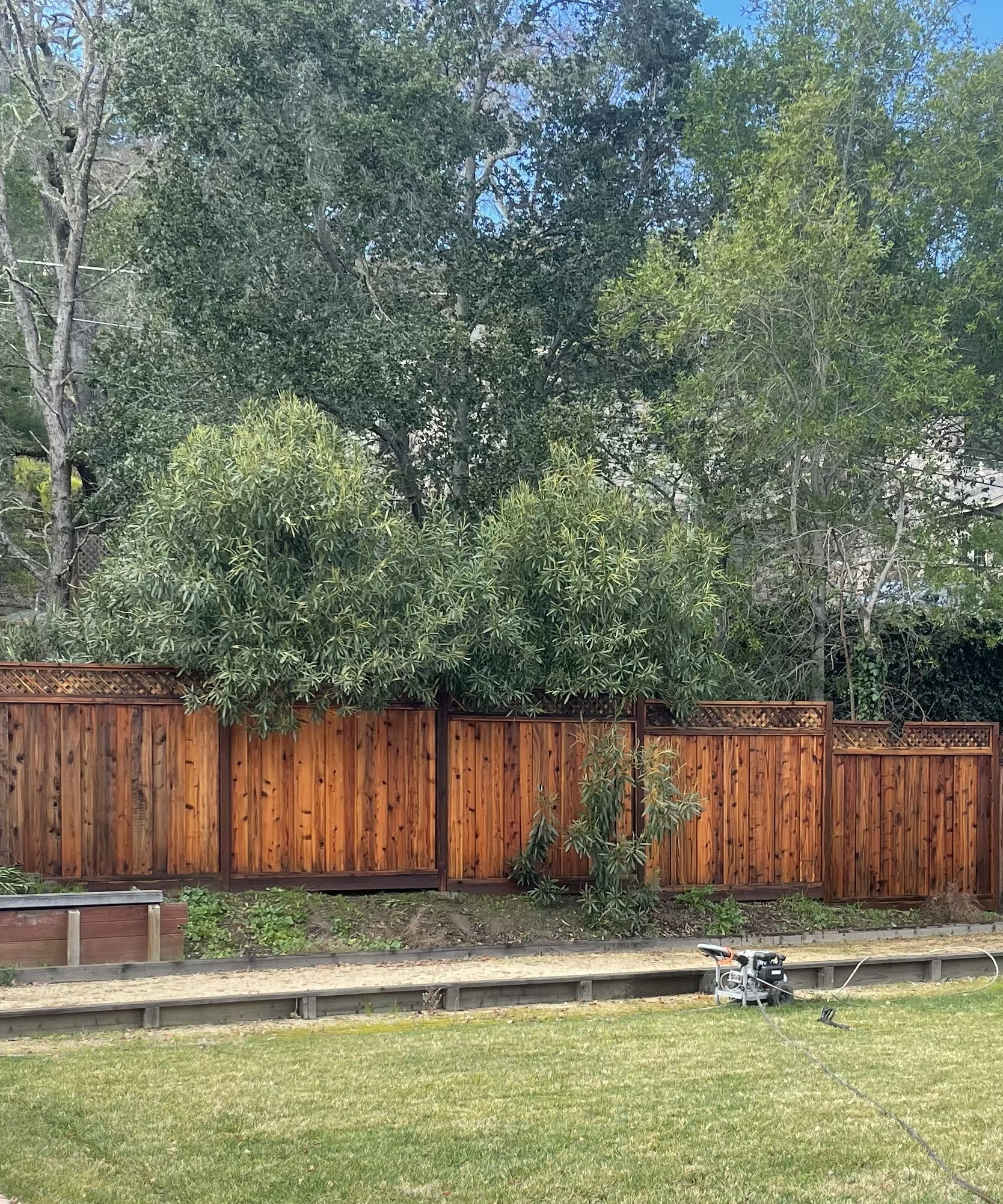 Fence refinishing — after